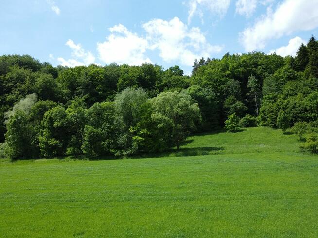 Działka rolno - leśna nad rzeką na Pogórzu Dynowskim