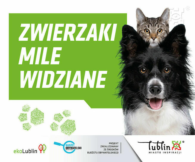 Farba do betonu AKRYLATEX KABE LUBLIN ogrodzenia, cokoły