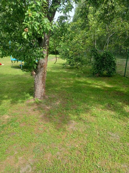 Dom z dużą działką, aż 11791m2, z własnym lasem