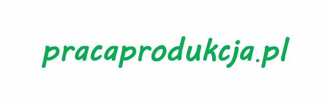 Lider produkcji - Skawina