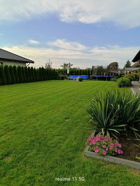 Usługi Ogrodnicze Słupsk i okolice