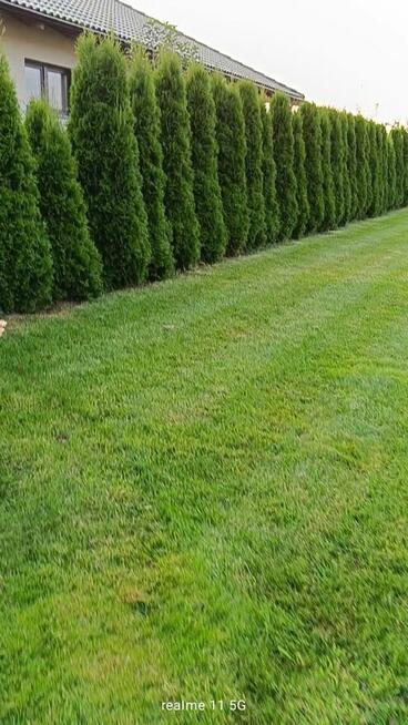 Usługi Ogrodnicze Słupsk i okolice