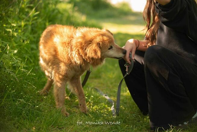 Danio szuka prawdziwej miłości