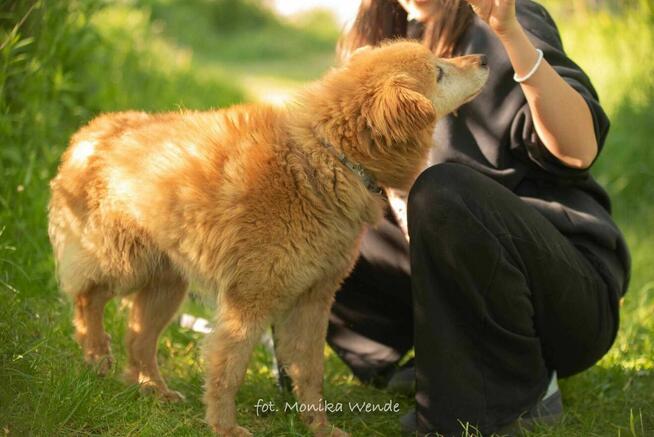 Danio szuka prawdziwej miłości