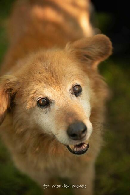 Danio szuka prawdziwej miłości
