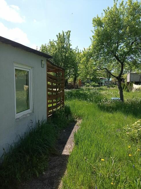 Działka ROD Urodzaj ul. Rybnicka, Gliwice