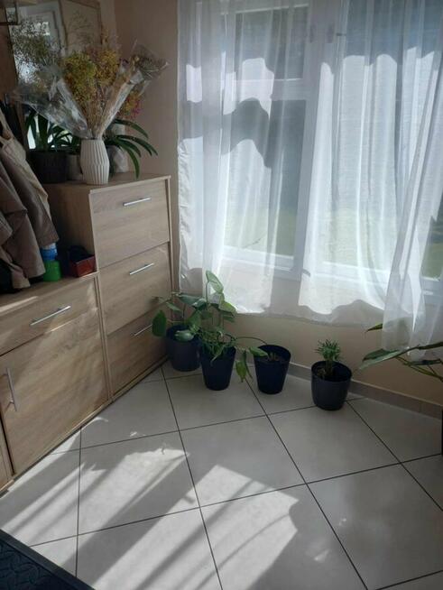 Dom z dużą działką, aż 11791m2, z własnym lasem