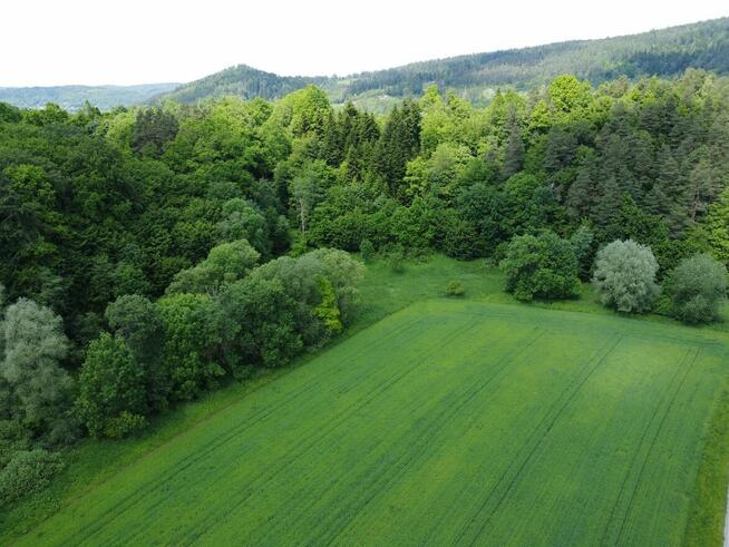 Działka rolno - leśna nad rzeką na Pogórzu Dynowskim