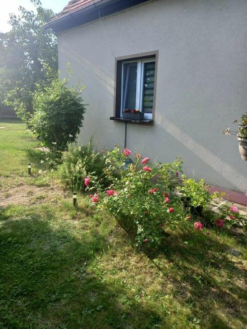 Dom z dużą działką, aż 11791m2, z własnym lasem