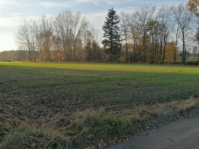 Działka inwestycyjna 6100 m² – WZ na 6 domów – Semlin, gm. Z