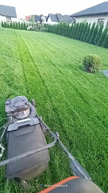 Usługi Ogrodnicze Słupsk i okolice