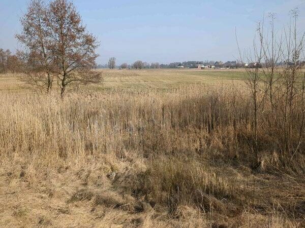 Nieruchomość gruntowa niezabudowana od syndyka - Gutków 430