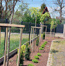 Pielegnacja ogrodów