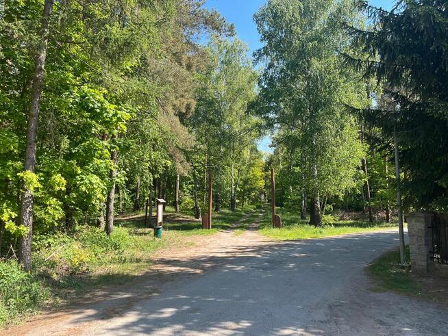 Domy jednorodzinny Żychlin