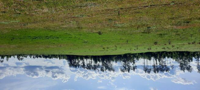 Działki w spokojnej okolicy