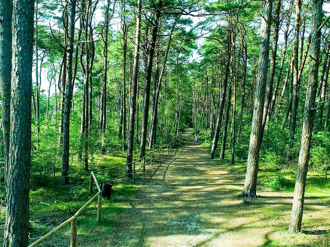 Unikatowy domek z dużą działką 900m od morza w Naturze 2000