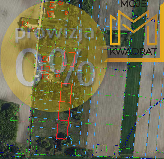 Działki 10-13 arów, Rasy gm. Drużbice