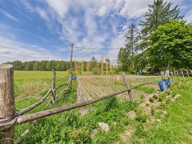 Bajeczne siedlisko ze stawami i polami - Brzezie.