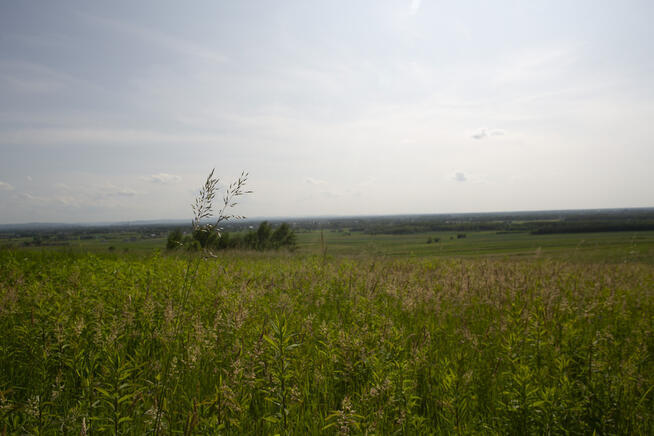 Widokowa działka budowlana Łukowa- gm. Lisia Góra!