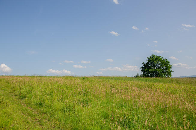 Widokowa działka budowlana Łukowa- gm. Lisia Góra!