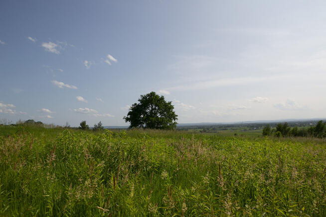 Widokowa działka budowlana Łukowa- gm. Lisia Góra!