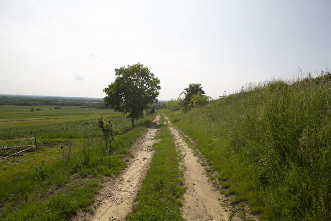 Widokowa działka budowlana Łukowa- gm. Lisia Góra!