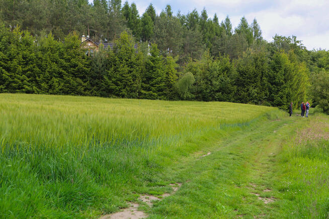 Na sprzedaż: działka 79 arów- Domosławice