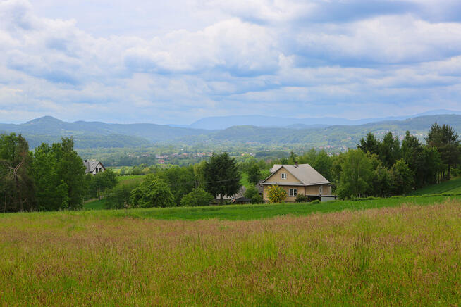 Na sprzedaż: działka 79 arów- Domosławice