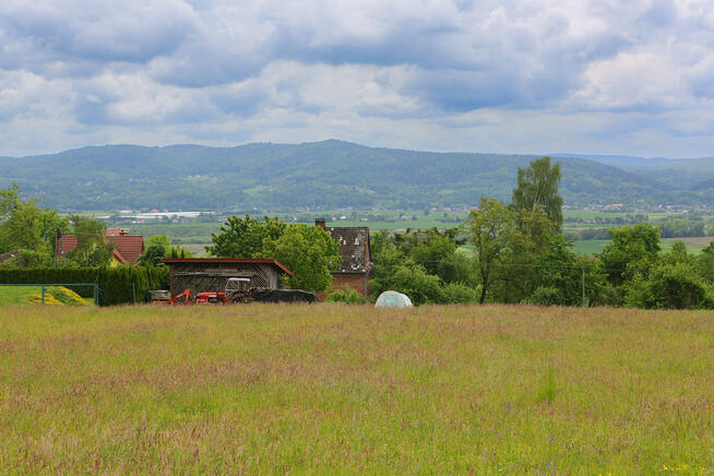 Na sprzedaż: działka 79 arów- Domosławice