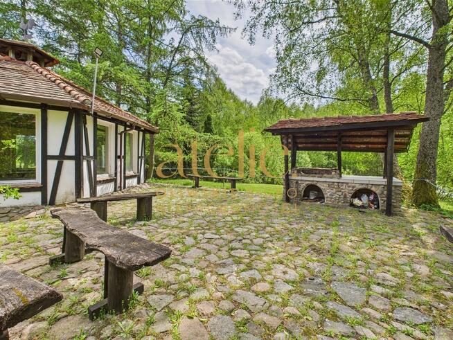 Bajeczne siedlisko ze stawami i polami - Brzezie.