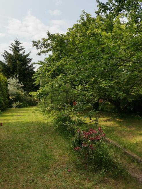 Odstąpię prawo do działki