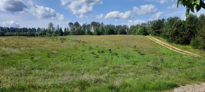 Działki w spokojnej okolicy