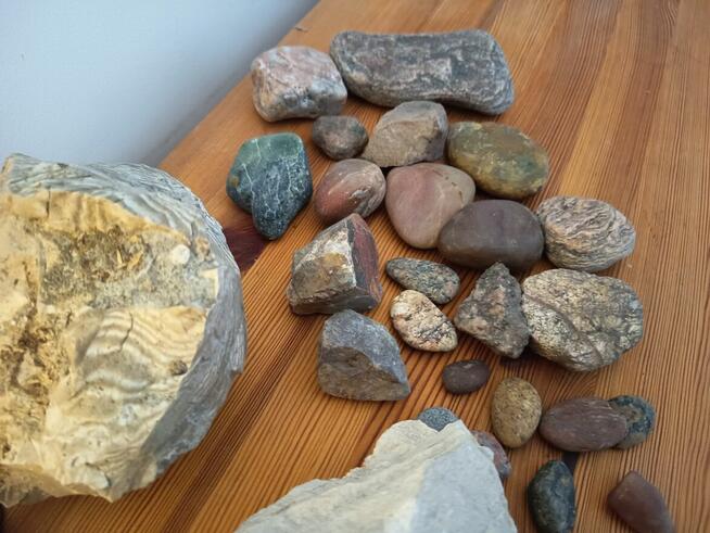 Skamieniałości i minerały