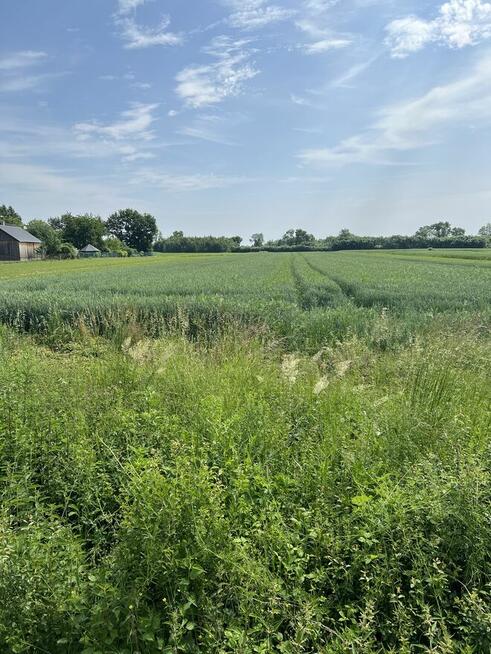 Działka budowlana Wola Przemykowska gm. Szczurowa