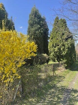 Sprzedam działke w ROD Relax Szałe