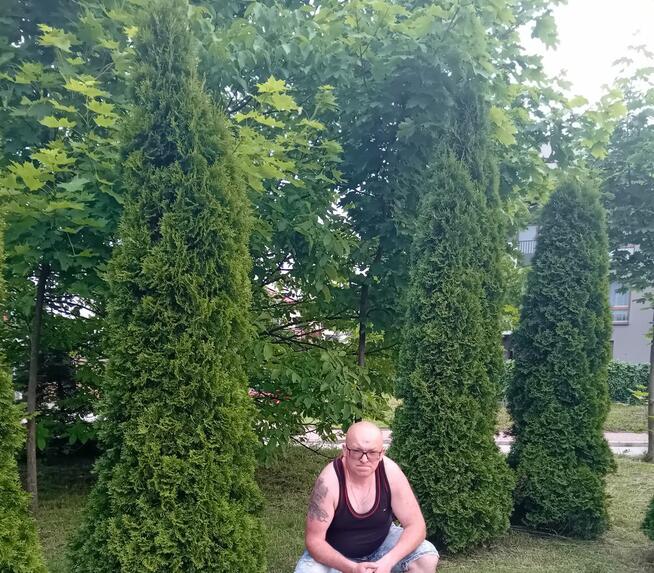 Szukam żony jak szalony