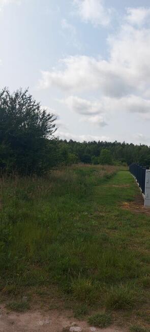 Siedlice sprzedam działkę budowlaną