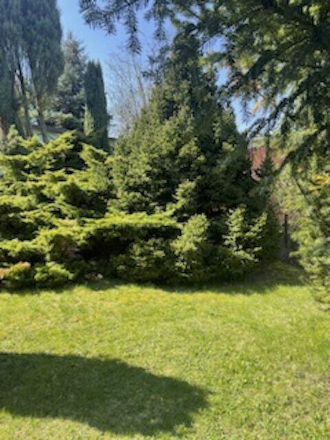 Sprzedam działke w ROD Relax Szałe