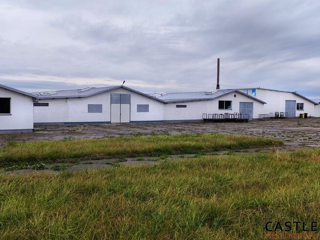 Lokal użytkowy Pobiedziska,