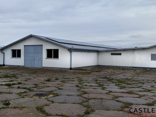 Lokal użytkowy Pobiedziska,