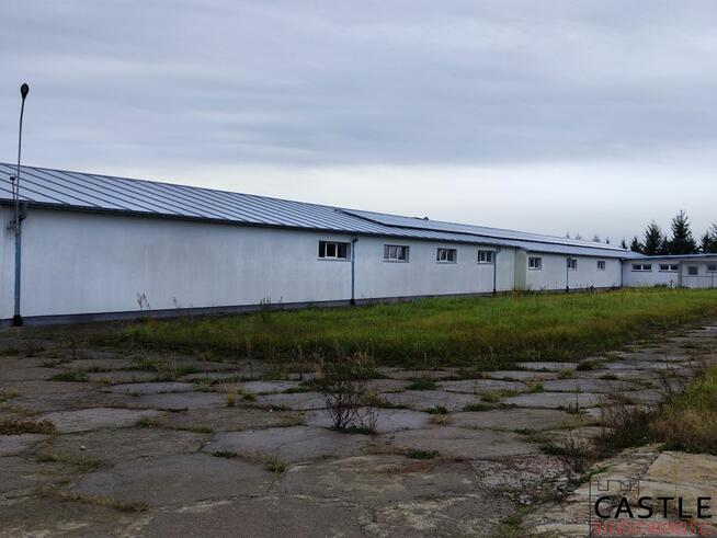 Lokal użytkowy Pobiedziska,