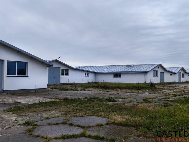 Lokal użytkowy Pobiedziska,