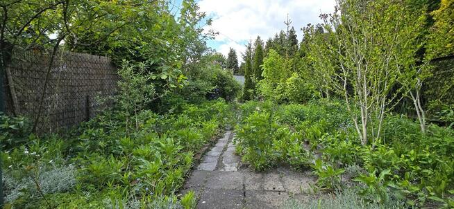 Mieszkanie z ogrodem Zabrze-Maciejów blisko Gliwic