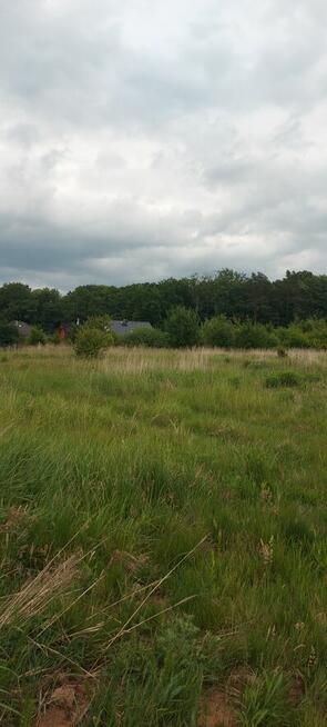 Siedlice sprzedam działkę budowlaną