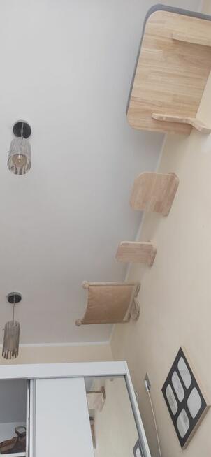 hotel dla Kota 50zl dobą żwirek w cenie