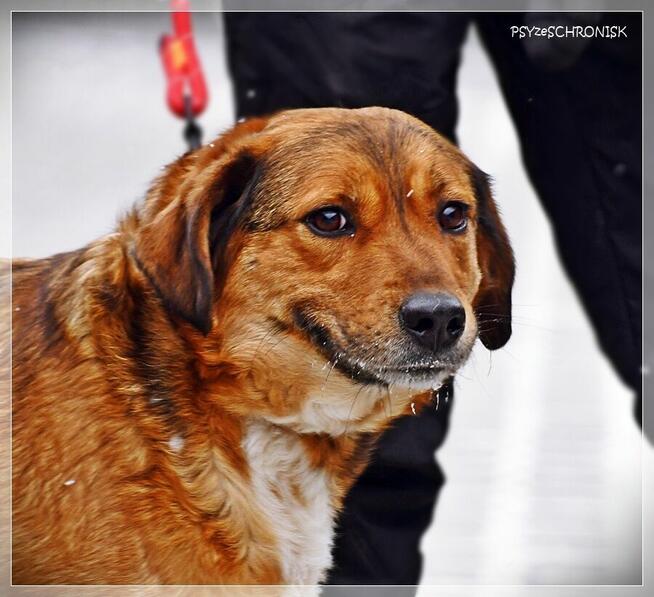 Tosiek – daj się zaczarować temu radosnemu młodzieńcowi