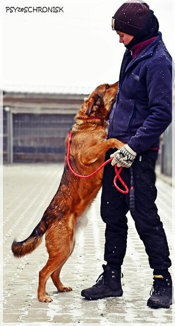 Tosiek – daj się zaczarować temu radosnemu młodzieńcowi