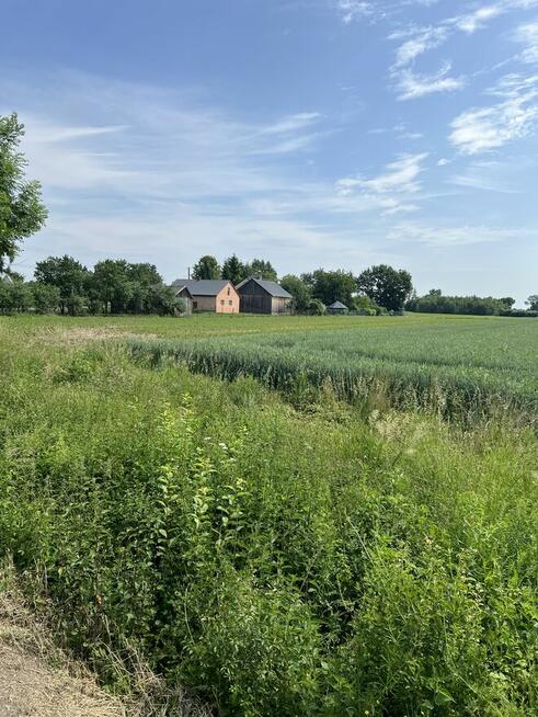 Działka budowlana Wola Przemykowska gm. Szczurowa