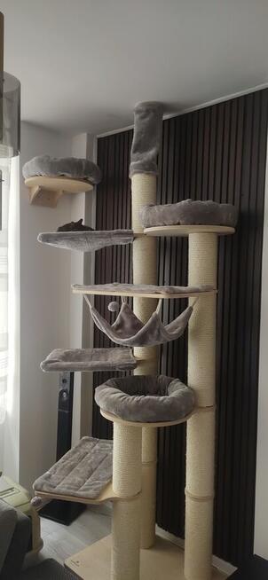 hotel dla Kota 50zl dobą żwirek w cenie