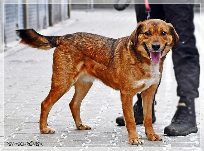 Tosiek – daj się zaczarować temu radosnemu młodzieńcowi